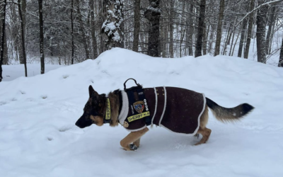 K-9 Sgt. Lanzer visits Canada